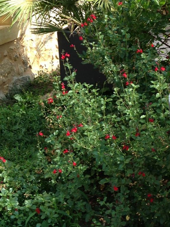 Les Camelias Bed & Breakfast Lalinde Екстериор снимка